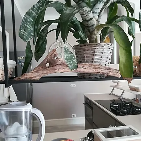Grazia Al Frühstückspension Domaso